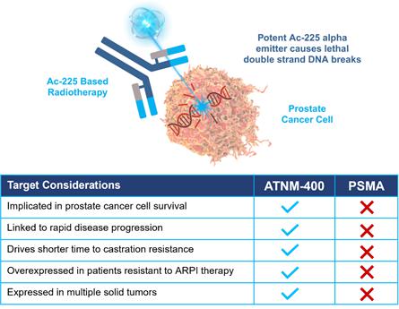 A diagram of cancer cells  Description automatically generated