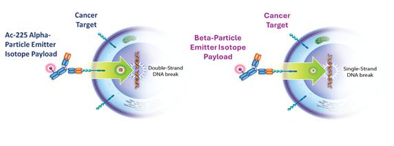 A diagram of a cell division  Description automatically generated